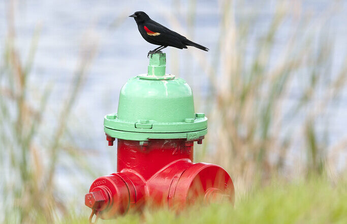 KSC-20170504-PH_SWW01_0054