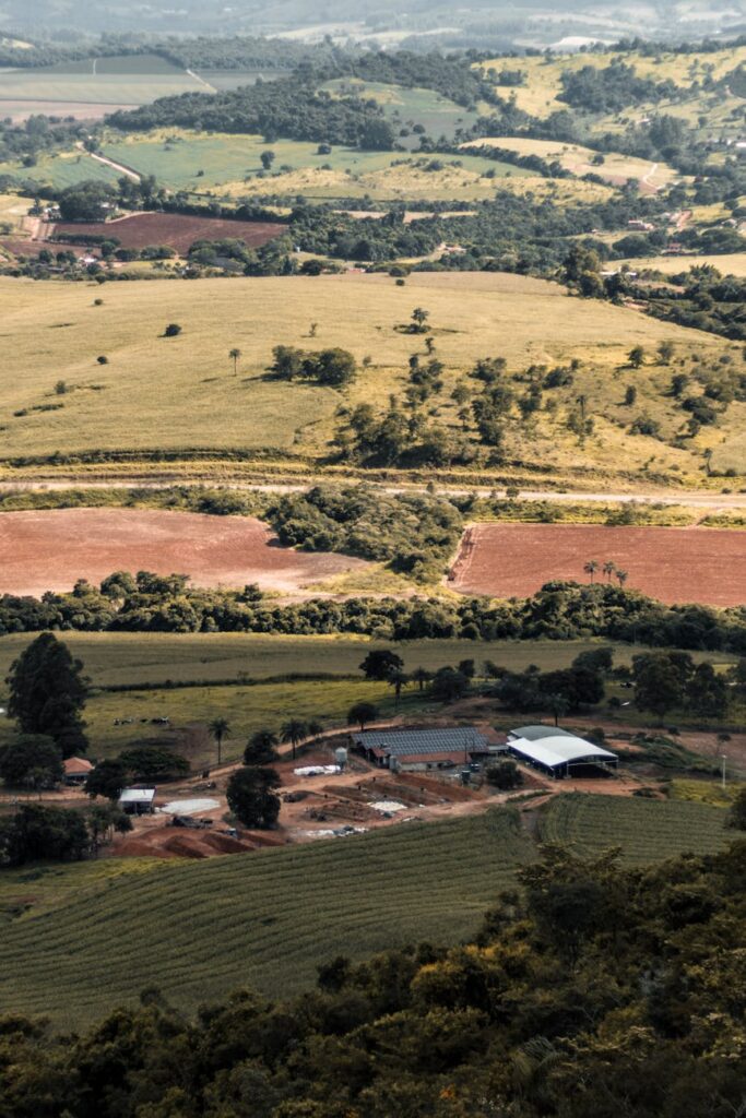 aerial photography of farm field